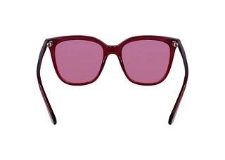Bagside Calvin Klein CK23506S (513)