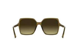 Bagside Calvin Klein CK25537S (209)