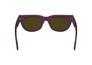 Bagside Calvin Klein CKJ25600S (208)