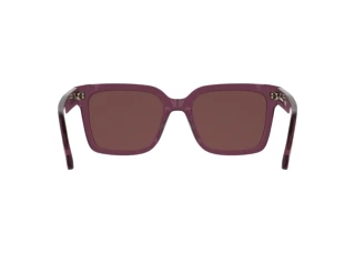 Bagside Calvin Klein CKJ26301S (208)