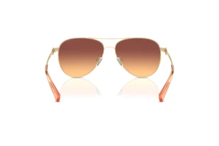 Bagside Coach C6178 (HC7128 - 900578)