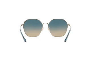 Bagside Coach C7998 (HC7132 - 900579)