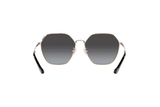 Bagside Coach C7998 (HC7132 - 93318G)