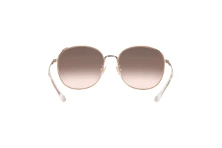 Bagside Coach C7996 (HC7134 - 93318Z)