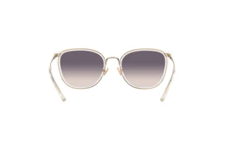 Bagside Coach C7999 (HC7135 - 511136)