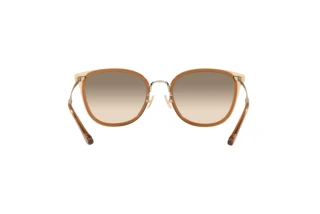 Bagside Coach C7999 (HC7135 - 565413)