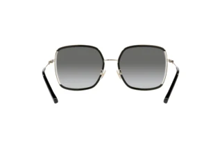 Bagside Coach C8000 (HC7139BD - 934611)