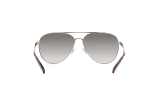 Bagside Coach CD474 (HC7140 - 90016I)