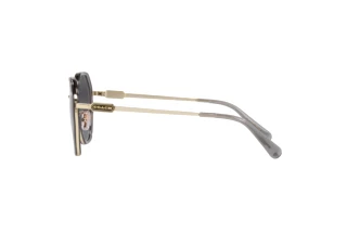 Sidevisning Coach CD477 (HC7141 - 90058G)