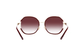 Bagside Coach CD452 (HC7144BD - 94158H)