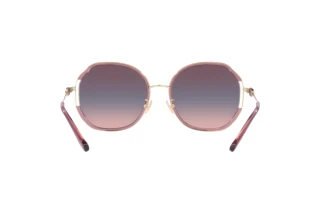 Bagside Coach CD452 (HC7144BD - 94160J)