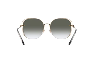 Bagside Coach CD453 (HC7145BD - 90058E)