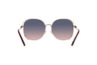 Bagside Coach CD453 (HC7145BD - 93310J)