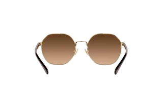 Bagside Coach CH556 (HC7147 - 900574)