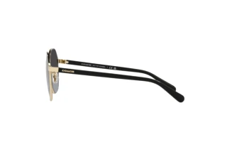 Sidevisning Coach CH556 (HC7147 - 90058G)