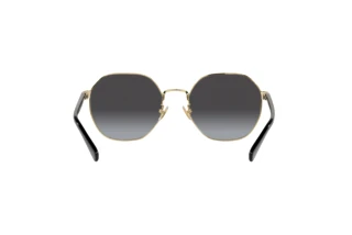 Bagside Coach CH556 (HC7147 - 90058G)