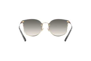 Bagside Coach CH573 (HC7151D - 900511)