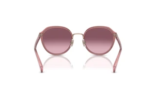 Bagside Coach CL924 (HC7154 - 93318D)