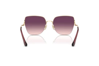 Bagside Coach CL904 (HC7156D - 90057W)