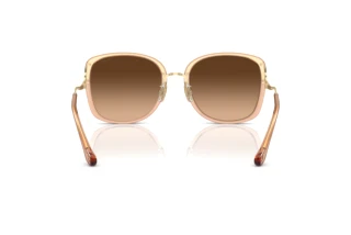 Bagside Coach CL905 (HC7157D - 556174)