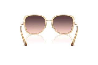 Bagside Coach CL905 (HC7157D - 5736U8)