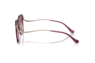 Sidevisning Coach CL905 (HC7157D - 58013P)