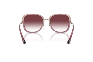 Bagside Coach CL905 (HC7157D - 58013P)