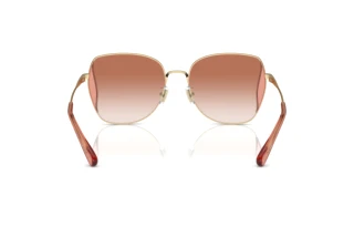 Bagside Coach CL906 (HC7158D - 900513)