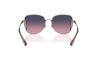 Bagside Coach CL906 (HC7158D - 9331I6)