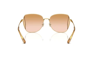 Bagside Coach CL906 (HC7158D - 94412D)