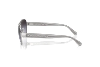 Sidevisning Coach CR617 (HC7161 - 90018G)