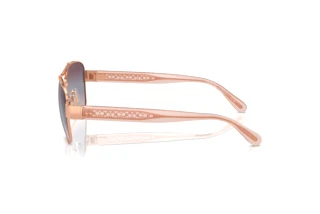 Sidevisning Coach CR617 (HC7161 - 93310J)