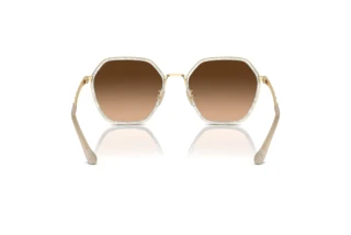 Bagside Coach CS543 (HC7167B - 944374)