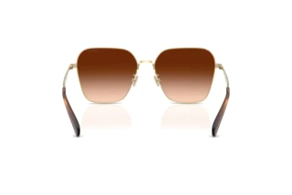 Bagside Coach CW189 (HC7168 - 900574)