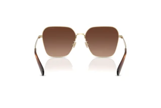 Bagside Coach CW189 (HC7168 - 9005T5)