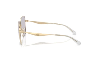 Sidevisning Coach CW189 (HC7168 - 9005ZQ)