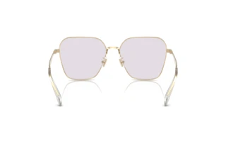 Bagside Coach CW189 (HC7168 - 9005ZQ)