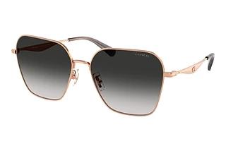 Coach CW189 HC 7168 93313C