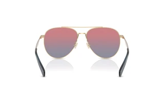 Bagside Coach CW193 (HC7169 - 90050Q)