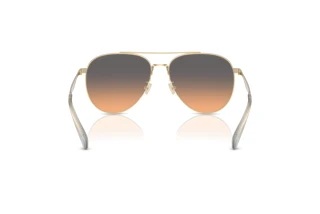 Bagside Coach CW193 (HC7169 - 900518)