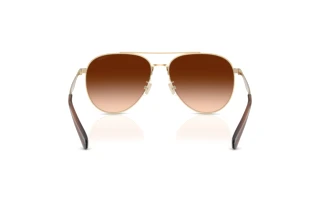 Bagside Coach CW193 (HC7169 - 900574)