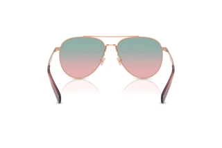 Bagside Coach CW193 (HC7169 - 93310Q)