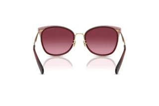 Bagside Coach CW185 (HC7170 - 94518H)