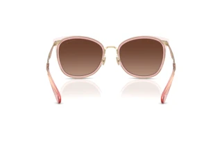 Bagside Coach CW185 (HC7170 - 9469T5)