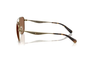 Sidevisning Coach CW404 (HC7172 - 933373)