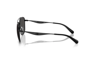 Sidevisning Coach CW404 (HC7172 - 939387)