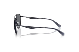 Sidevisning Coach CW404 (HC7172 - 945887)