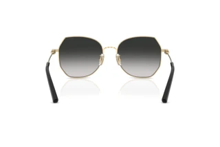 Bagside Coach CAD79 (HC7175 - 90053C)