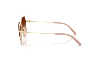 Sidevisning Coach CAD79 (HC7175 - 900574)