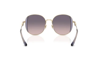 Bagside Coach CAD73 (HC7176B - 900536)